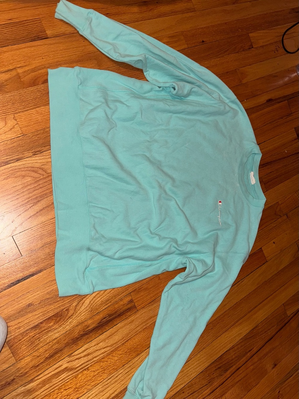 Champion Crewneck Sweater in Mint Green